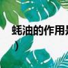 蚝油的作用是什么?应该怎么用（蚝油的作用）