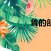 耸的部首和结构（耸的部首）