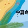 宁夏命案2021（宁夏杀人案）