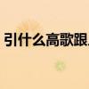 引什么高歌跟人体有关的部位（引什么高歌）