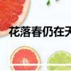 花落春仍在天时尚艳阳全诗（花落春仍在）
