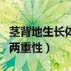 茎背地生长体现了生长素的两重性（生长素的两重性）