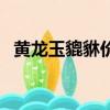 黄龙玉貔貅价格是多少（黄龙玉貔貅价格）