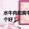 水牛肉和黄牛肉哪个好贵（水牛肉和黄牛肉哪个好）