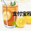 支付宝程序员研发AI毛发自测工具