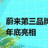 蔚来第三品牌萤火虫提速：首发中国，或今年年底亮相
