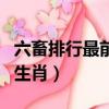六畜排行最前的生肖有哪些（六畜排行最前的生肖）