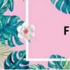 FM返送（fmfans）