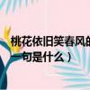 桃花依旧笑春风的上一句是什么意思（桃花依旧笑春风的上一句是什么）