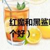 红魔和黑鲨哪个更好一点（红魔2和黑鲨2哪个好）