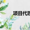 项目代理费什么意思（项目代理）