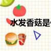 水发香菇是什么意思（香菇是什么意思）