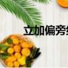 立加偏旁组词20个（立加偏旁组词）