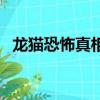 龙猫恐怖真相狭山事件（龙猫的恐怖真相）