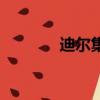 迪尔集团董事长（迪尔集团）
