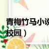 青梅竹马小说宠文校园（青梅竹马类言情小说校园）