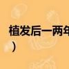 植发后一两年又掉了（植发后两年后又掉光了）