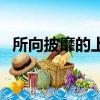 所向披靡的上一句是什么意思（所向披靡）