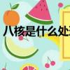 八核是什么处理器（八核处理器是什么意思）