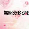 驾照分多少钱一分（驾照买分多少钱一分）