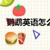 鹦鹉英语怎么读turtle（鹦鹉英语怎么读）