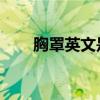 胸罩英文是bra还是bar（胸罩英文）