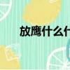 放鹰什么什么成语（放鹰是什么意思）