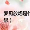 梦见放炮是什么意思啊查到（梦见放炮什么意思）