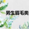 男生眉毛类型面相图解（男生眉毛类型）