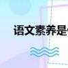 语文素养是什么意思（素养是什么意思）