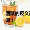 团聚的反义词是什么 标准答案（团聚的反义词）