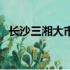 长沙三湘大市场电器城（长沙三湘大市场）