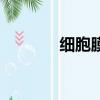 细胞膜的基本骨架（细胞膜）