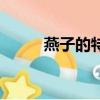 燕子的特点怎么写（燕子的特点）