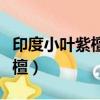 印度小叶紫檀手串的作用与功效（印度小叶紫檀）