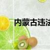 内蒙古违法事件（内蒙打掉作弊团伙）
