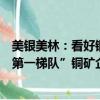 美银美林：看好铜价涨到12000美元，生产成本较高的“非第一梯队”铜矿企业弹性更大