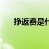 挣返费是什么（挣返费哪个平台靠谱）
