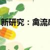 新研究：禽流感病毒或可通过“挤牛奶”传播