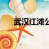 武汉江滩公园怎么走（武汉江滩公园）
