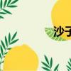 沙子多少钱一袋（沙子）