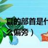 夏的部首是什么偏旁结构组词（夏的部首是什么偏旁）