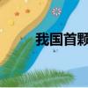 我国首颗全电推通信卫星定点成功