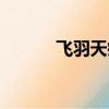 飞羽天痕在线阅读（飞羽天痕）