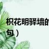 枳花明驿墙的前一句及读音（枳花明驿墙上一句）