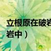 立根原在破岩中千磨万击还坚劲（立根原在破岩中）