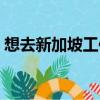 想去新加坡工作怎么找（新加坡工作好找吗）