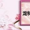 龙特工队（抓龙特攻队）