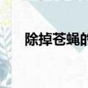 除掉苍蝇的方法（除苍蝇的最好办法）