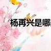 杨再兴是哪部作品的人物（杨再兴简介）